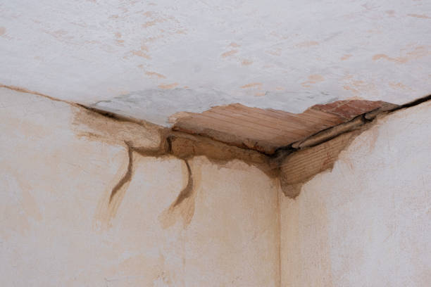Best Flood restoration services  in La Porte City, IA
